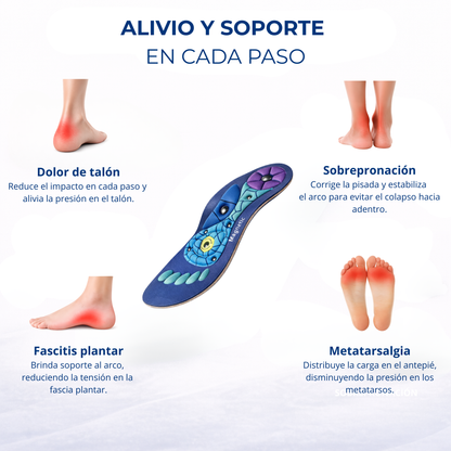 Plantillas Magnéticas